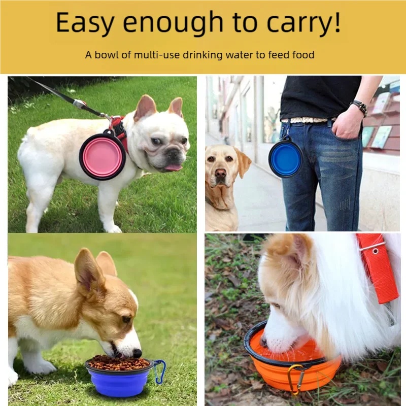 Faltbare tragbare Silikon-Hund – Portion Control Container Bewertung und Preis