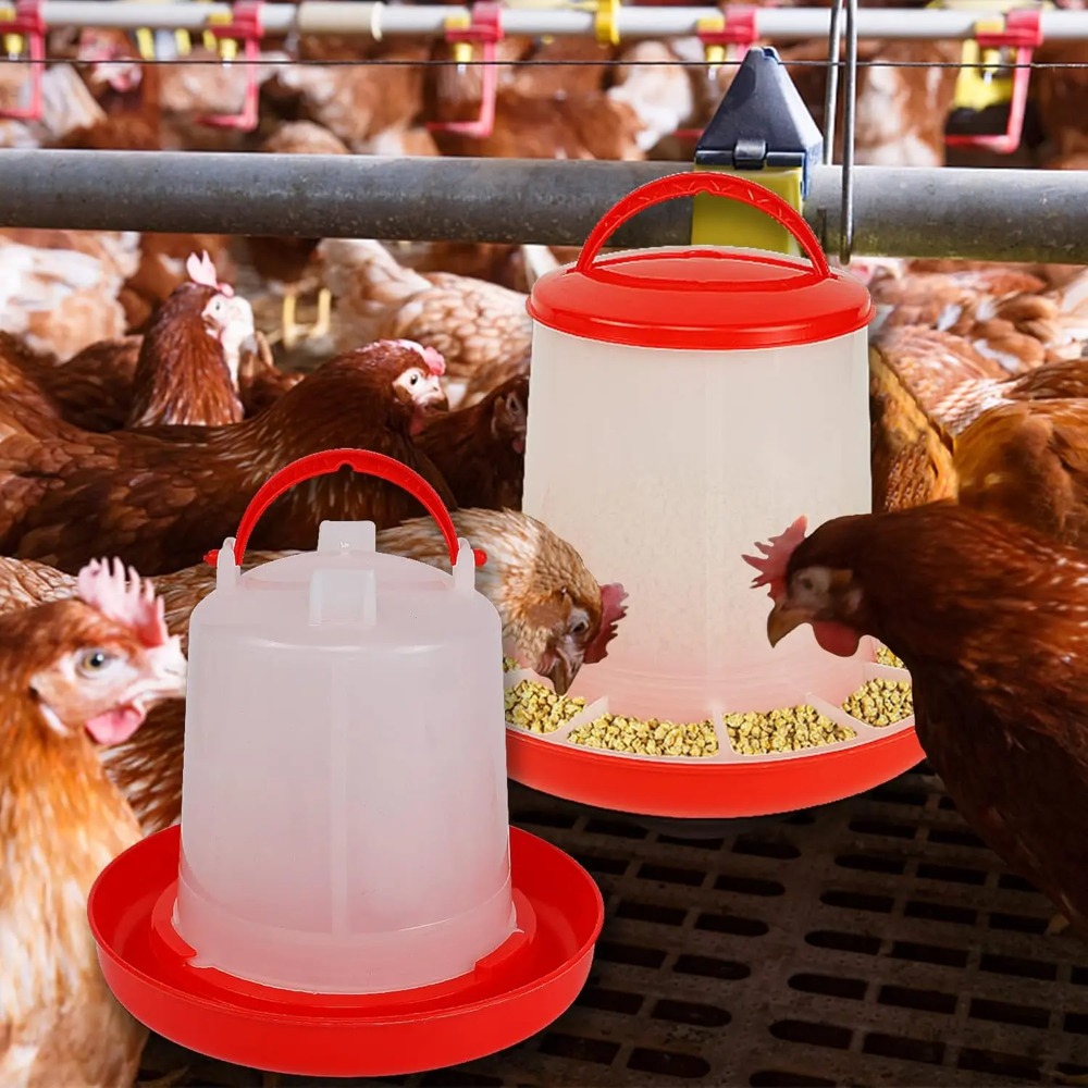 3kg+3L Geflügelfutter- und Was – Portion Control Container Bewertung und Preis