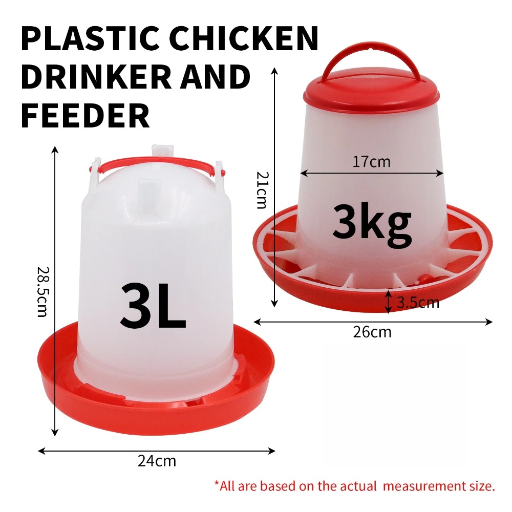 3kg+3L Geflügelfutter- und Was – Portion Control Container Bewertung und Preis