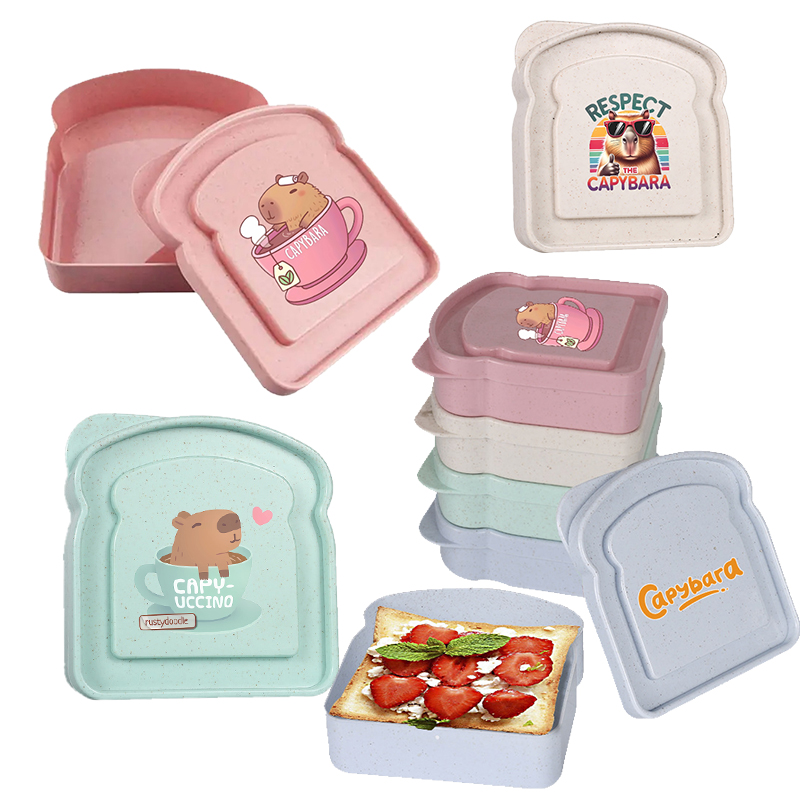 Capybara Sandwich-Aufbewahrung – Food Storage Lunch Box Bewertung und Preis