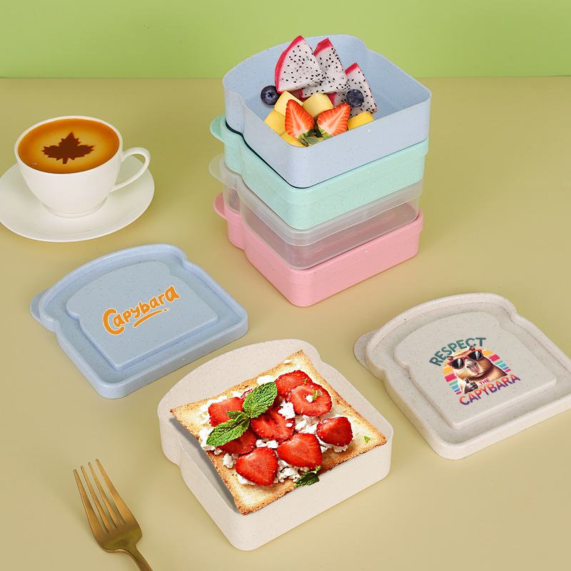 Capybara Sandwich-Aufbewahrung – Food Storage Lunch Box Bewertung und Preis