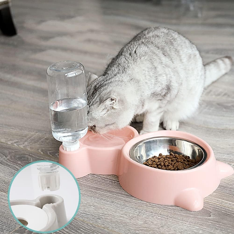 Wasserspender für Haustiere fü – Portion Control Container Bewertung und Preis
