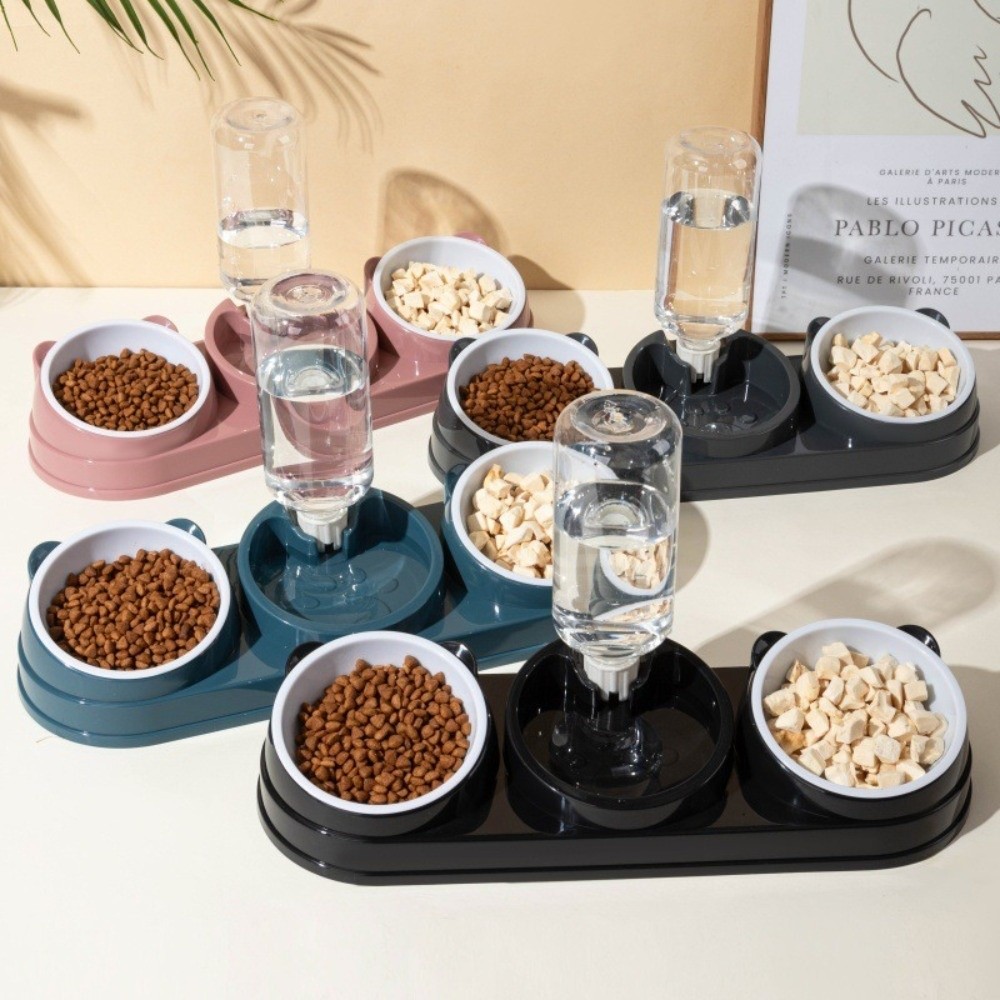 Haustierzubehör 15 Grad Erhöht – Portion Control Container Bewertung und Preis