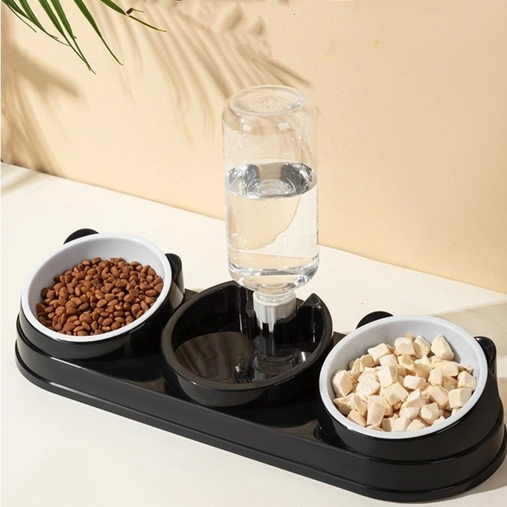 Haustierzubehör 15 Grad Erhöht – Portion Control Container Bewertung und Preis