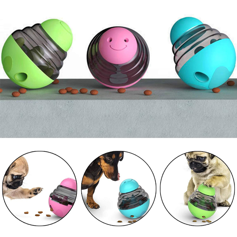 Interaktiver Futterspender für – Portion Control Container Bewertung und Preis