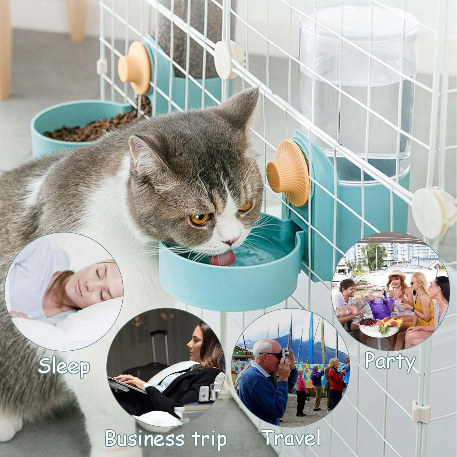 Neuer Tepy Hängender Automatis – Portion Control Container Bewertung und Preis